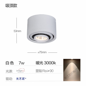 苏宁放心购 天花吸顶LED明装射灯家用小COB轨道射灯店铺商用明装筒灯客厅