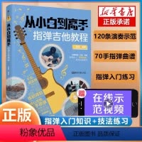 [正版]全新从小白到高手(指弹吉他教程) 潇潇 编 平装16开212页 9787572607097 湖南文艺出版社