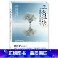 [正版]正念禅修 英 马克 威廉姆斯 美 丹尼 彭曼 在喧嚣的世界中获取安宁 正念减压疗法书籍哲学入门初学者 九州出版