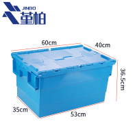 堇柏 运输箱 60*40cm 个