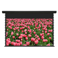 经科JK电动遥控拉线投影幕布H3-AT/2t拉绳编织透声白幕150寸16:10