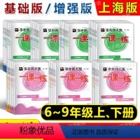 全套(普通版+增强版) 九年级/初中三年级 [正版]2024华东师大版一课一练 上海名校名卷初中六七八九年级上下 语文数