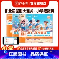 一年级(语数英三科)4册 寒假 小学通用 [正版]抖音同款2024新版小学28天暑假预复习语数英一年级二年级三年级四年级