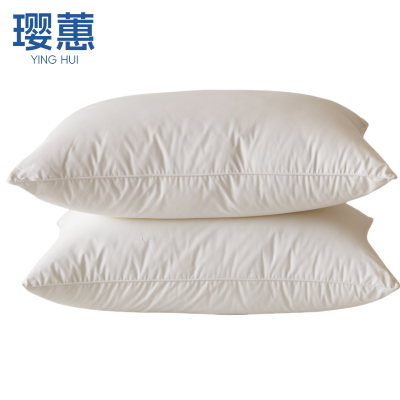 璎蕙枕芯48*74cm 个