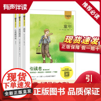 引读者快乐读书吧六年级上册全3册 爱的教育 童年 小英雄雨来 小学生课外阅读书籍 木头马 江苏凤凰文艺出版社