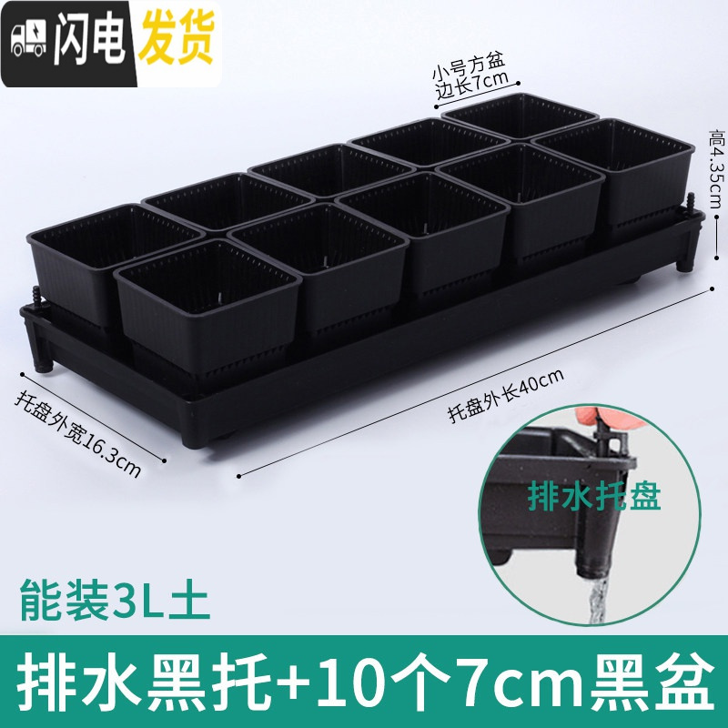 三维工匠控根多肉花盆套装组合塑料创意个性简约透气北欧风肉肉小盆器 [排水黑托]+10个黑盆(7cm盆) 中小花盆容器