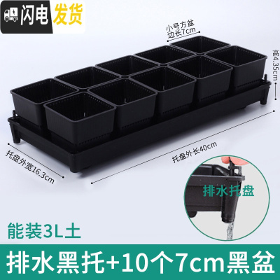 三维工匠控根多肉花盆套装组合塑料创意个性简约透气北欧风肉肉小盆器 [排水黑托]+10个黑盆(7cm盆) 中小花盆容器