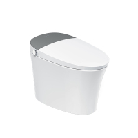 金牌卫浴GOLD R01Z隐藏水箱 泡沫盾脚感智能马桶 KA(含安装)RF3201Z(400坑距)