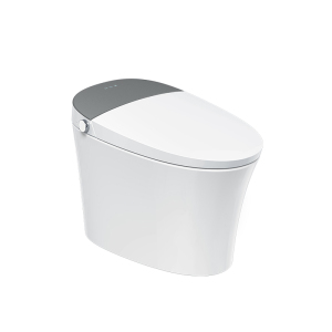 金牌卫浴GOLD R01Z隐藏水箱 泡沫盾脚感智能马桶 KA(含安装)RF3201Z(400坑距)