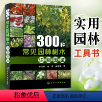 [正版]300种常见园林树木识别图鉴园林设计林业基础 知识庭院风景花卉种植栽培技术书园林绿化植物书籍 景观 学植物爱好
