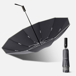 统狮自动晴雨两用 10骨伞H87