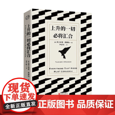 上升的一切必将汇合 弗兰纳里·奥康纳 著 外国文学