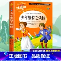 [正版]少年维特之烦恼原版歌德小学生三四五六年级必读课外书籍寒假阅读青少年经典读物9-15岁儿童文学世界名著原著故事图