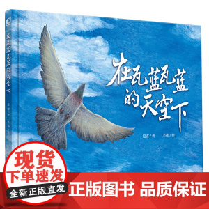 在瓦蓝瓦蓝的天空下