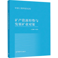 [M]矿产资源形势与发展矿业对策-9787040497311