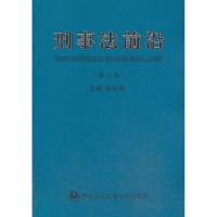 音像刑事法前沿:第七卷陈泽宪主编