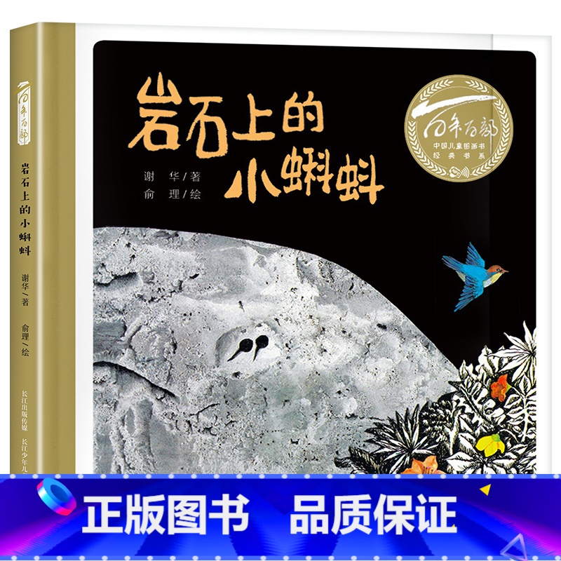 岩石上的小蝌蚪 [正版]岩石上的小蝌蚪长江少年儿童出版社幼儿园绘本幼儿园大中小班笔墨书香经典阅读
