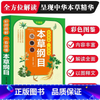 本草纲目 [正版]彩图精解一看就懂本草纲目 李时珍名著 中医中草药书籍 中医四大名著黄帝内经 中药书 中草药书 神农本草