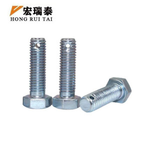 宏瑞泰 锌镍合金带孔六角螺栓 M12*60 个