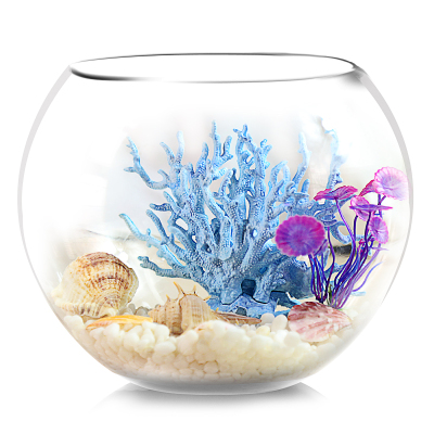 鱼缸生态圆形玻璃金鱼缸乌龟缸桌面小型造景水培花瓶圆型小鱼缸