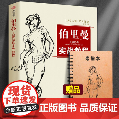 [赠速写本]伯里曼人体结构绘画教学 伯里曼人体绘画从入门到精通速写人体画手绘画教程描摹新手基础练习素描书入门教材绘画重点
