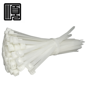 顺心捷 尼龙扎带 10×500mm 100根/包