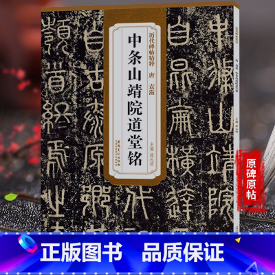 [正版]历代碑帖精粹 唐 袁滋 中条山靖院道堂铭 小篆书毛笔书法练字帖原帖原大附简体旁注技法解析字帖书籍 薛元明编 安