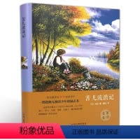[正版]精装全译本必读苦儿流浪记马洛世界经典文学小说名著原著原版全中文完整版青少版 世界名著 带插图 书籍