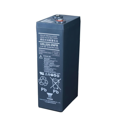 汤浅YUASA 铅酸蓄电池2V200Ah UXL220-2NFR 个