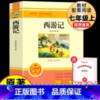 [配套人教版]七上-西游记 [正版]七年级上下册必阅读的课外书全套海底两万里骆驼祥子朝花夕拾鲁迅原著西游记老师推初一初中