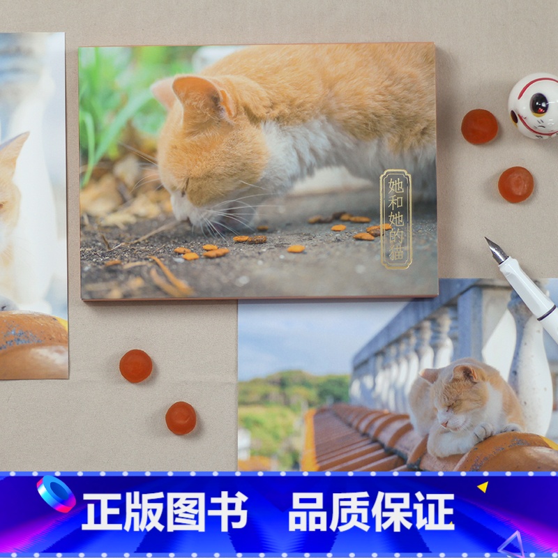 [正版]她和她的猫 摄影师@kelvin李28张摄影作品 可爱猫咪喵星人明信片 软萌小清新卡片生日送礼物文艺贺卡文创产
