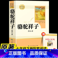 [人教版]骆驼祥子 [正版]骆驼祥子和海底两万里原着人教版人民教育出版社老舍国一下册必读的课外书初中生配套完整版七下阅读