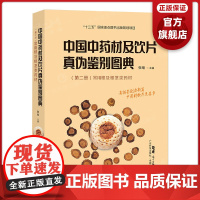 中国中药材及饮片真伪鉴别图典 第二册(常用根及根茎类药材)高清彩色图谱 中药书籍大全 中药材图谱大全 中药学中国药典书