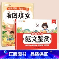 [范文+练习]看图写话范文+看图填空 小学一年级 [正版]看图写话一年级二年级每日一练范文鉴赏押题大全和例文练字帖人教小