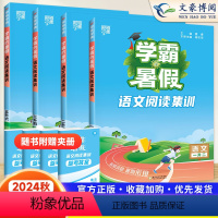 [暑假衔接]语文阅读集训 五升六 [正版]2024秋经纶学霸的暑假衔接一升二升三升四升五升六语文阅读集训暑假作业人教通用
