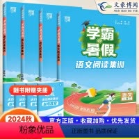 [暑假衔接]语文阅读集训 五升六 [正版]2024秋经纶学霸的暑假衔接一升二升三升四升五升六语文阅读集训暑假作业人教通用