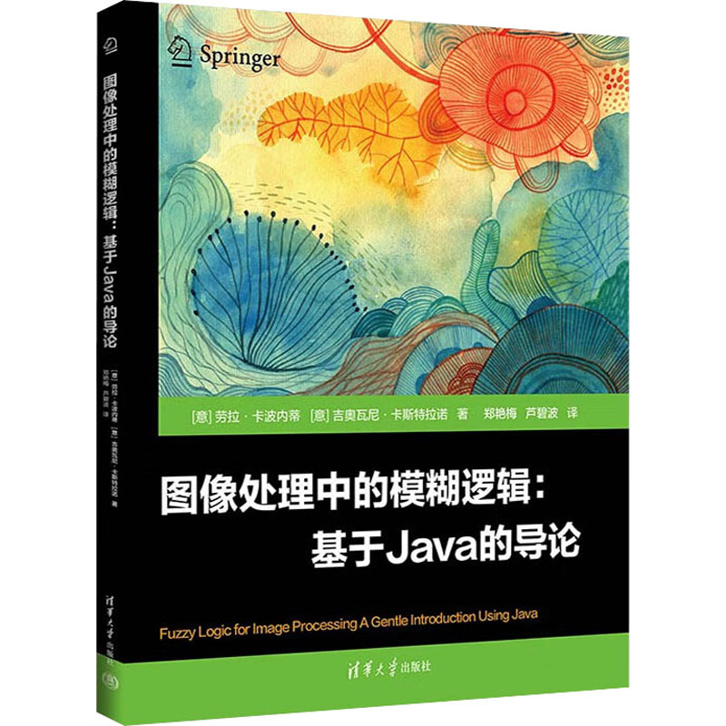 图像处理中的模糊逻辑:基于Java的导论