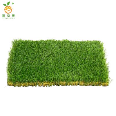 廷豪果 果岭草草坪 1平方米 /块