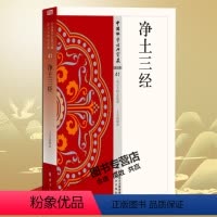 [正版]净土三经 王月清著 41 中国佛学经典宝藏 星云大师总监修 东方出版社