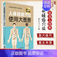 [正版] 人体经络穴位使用大图册 郭长青 主编 医学类专业书籍 中医学入门零基础理论学全图书 中国医药科技出版社
