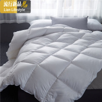 被子冬被加厚保暖棉被芯双人被褥春秋被空调被单人太空被四季通用 三维工匠