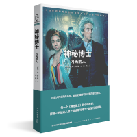 音像闪光的人/神秘博士(英)卡文·斯科特著