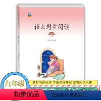 九年级/初中三年级 [正版]初中语文同步阅读少年之梦九年级上册 初中阅读训练 培养阅读兴趣提升阅读能力 九年级阅读理解专