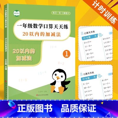 20以内的加减法 [正版]20以内加减法天天练口算题卡一年级二十以内进位退位加减法计算题10/20以内口算天天练全横式竖