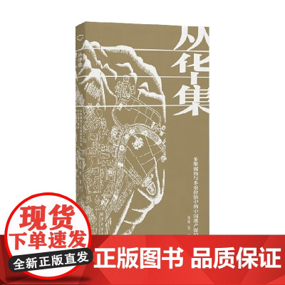 丛华集 多维视角与多重价值中的中国遗产保护 沈旸 著 建筑