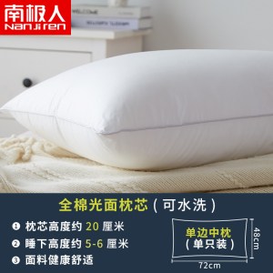 枕头枕芯单人一只装男整头芯双人一对家用BT