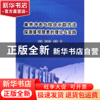 正版 单井冲击与综合示踪方法探测堤坝隐患的理论与实践 林统,陈