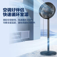 荣事达电风扇家用落地扇台地两用大风力左右摇头电扇风扇