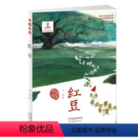 [正版]红豆书余雷著 中国女孩成长书系儿童文学书籍 三四五六年级小学生课外阅读老师 新蕾出版社