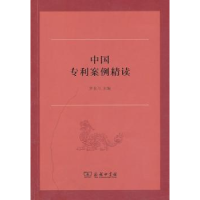 音像中国专利案例精读罗东川